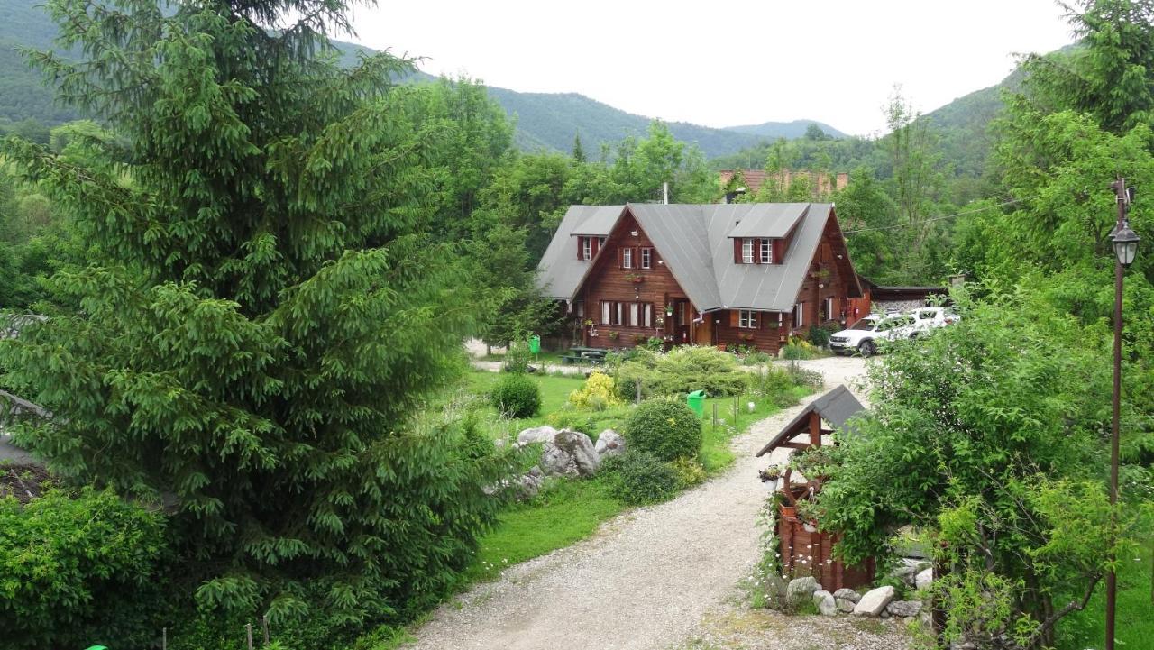 Casa Edelweiss - Gyopar - Flore De Colt Rimetea Eksteriør bilde